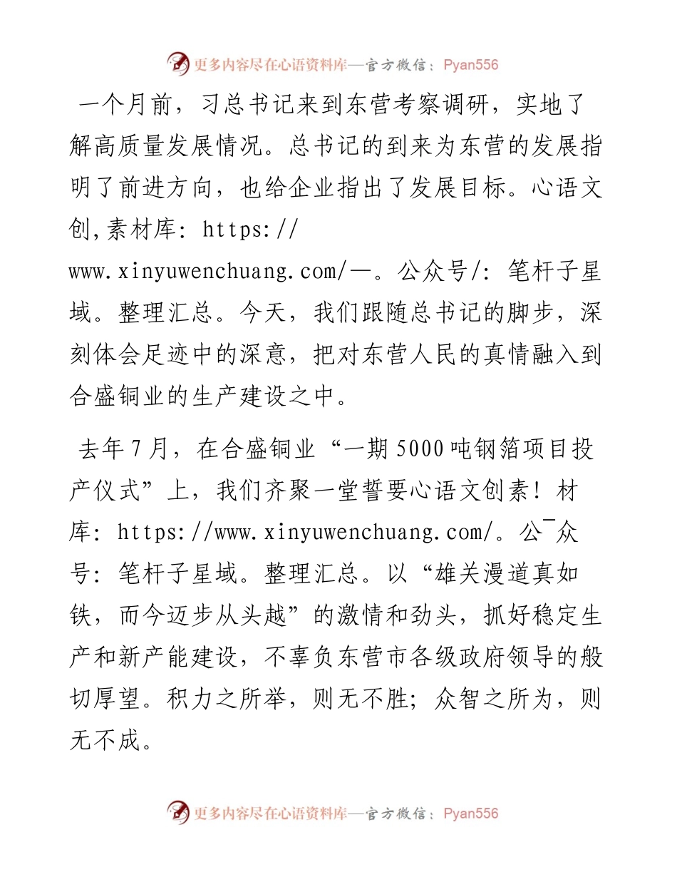 范文系列2746集团董事长曾祥新：在合盛铜业投产签约仪式上的讲话.docx_第2页