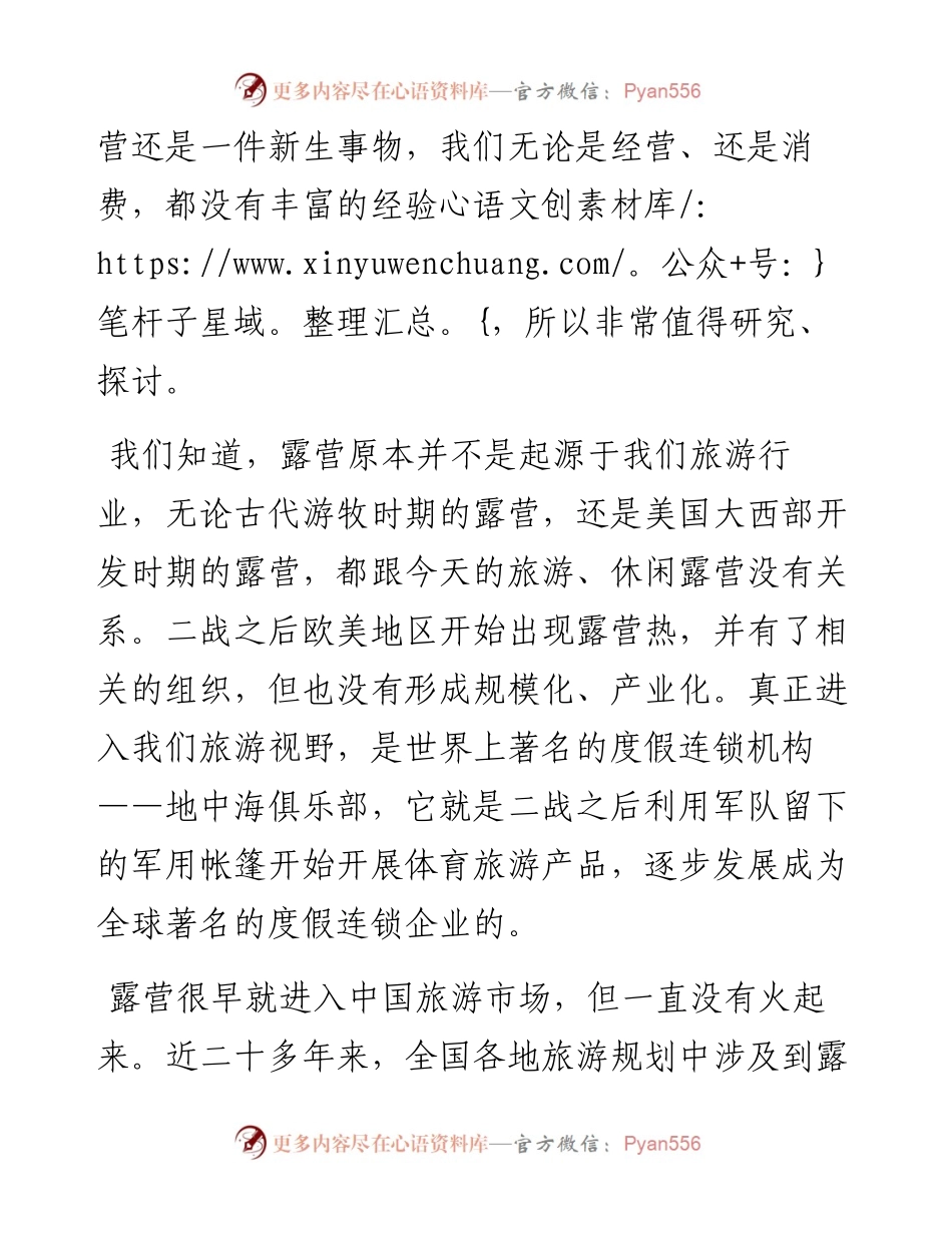 范文系列4218王德刚：在山东（济南）露营经济论坛上的讲话.docx_第2页