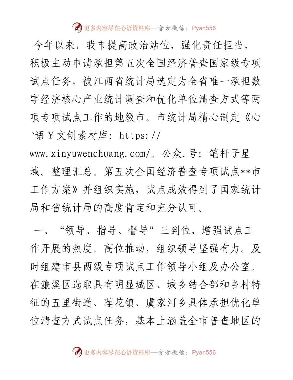 经济普查专项试点工作汇报.docx_第1页