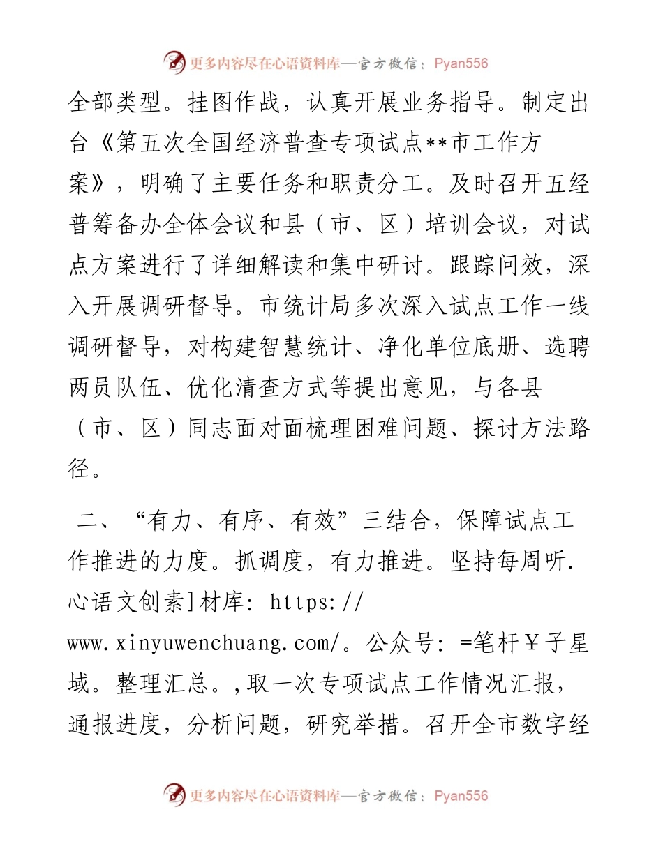 经济普查专项试点工作汇报.docx_第2页