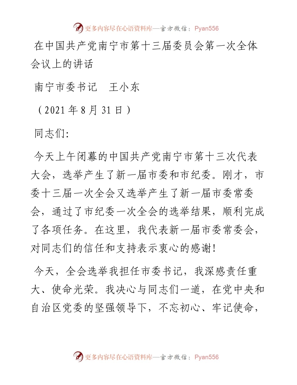 范文系列2031南宁市委书记王小东：在中国共产党南宁市第十三届委员会第一次全体会议上的讲话.docx_第1页