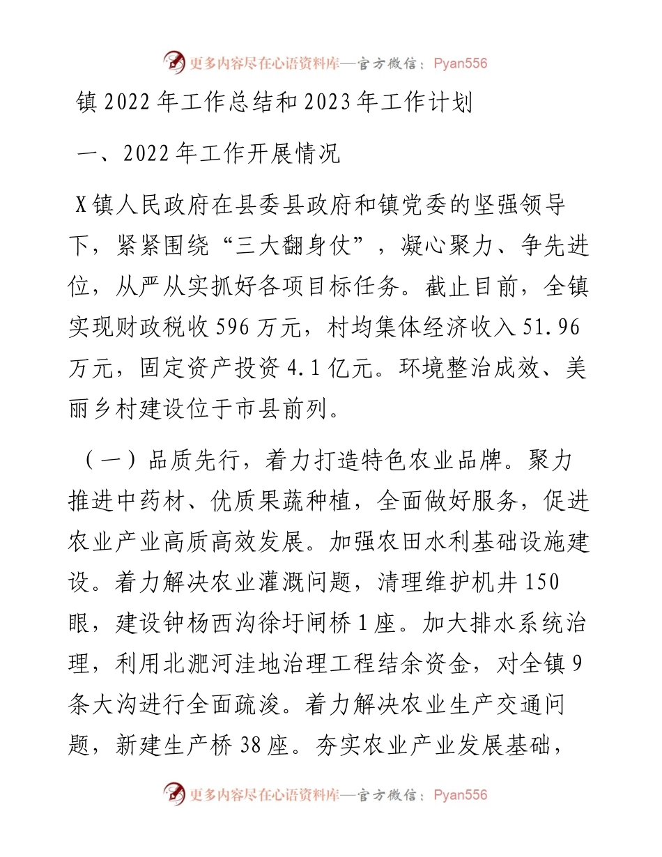 镇工作总结和2023年工作计划 (2).docx_第1页