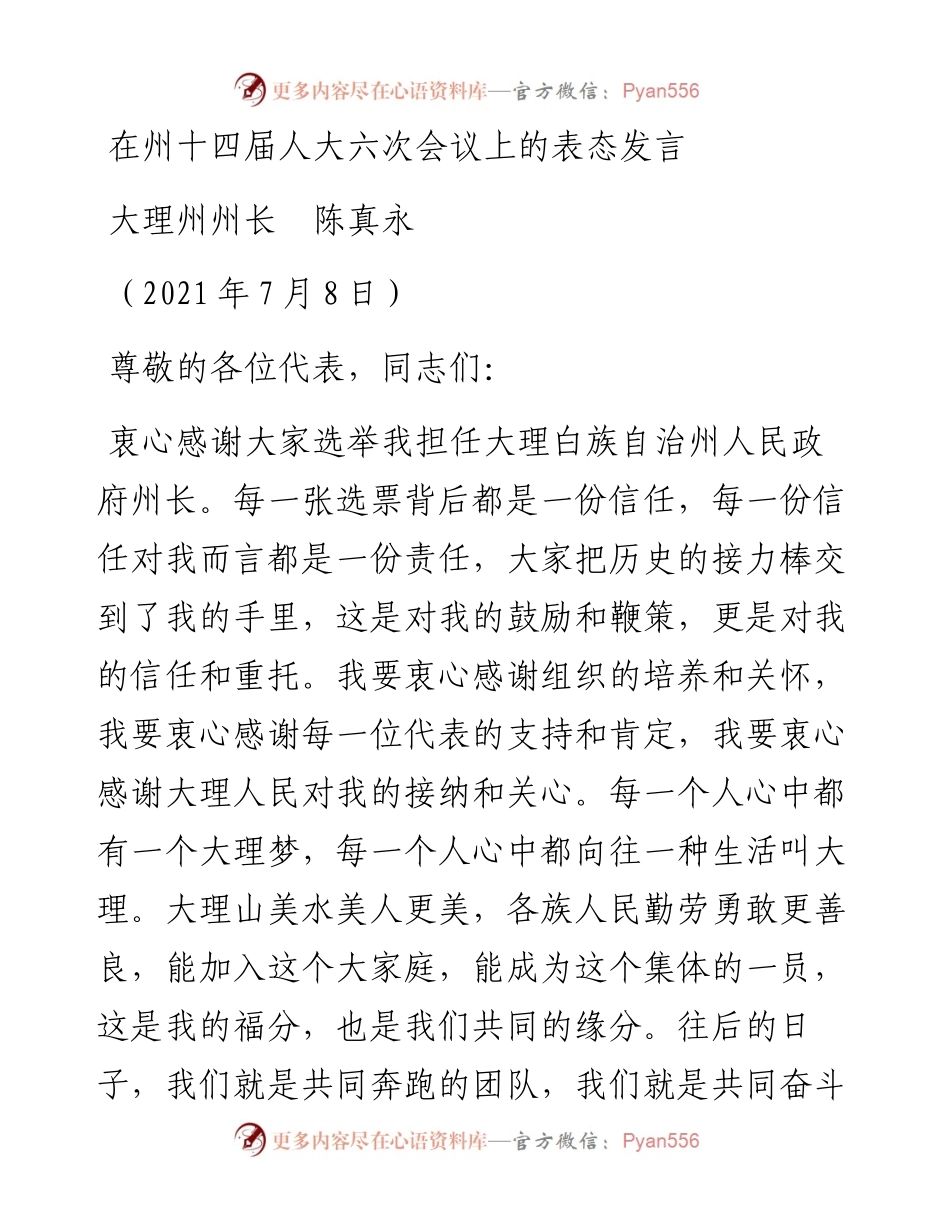 范文系列1784大理州州长陈真永：在州十四届人大六次会议上的表态发言.docx_第1页