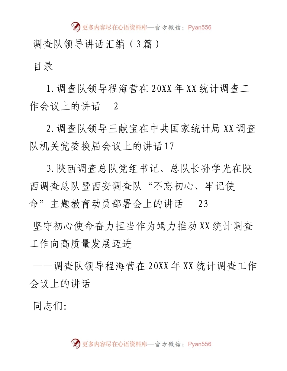 调查队领导讲话汇编（3篇）.docx_第1页
