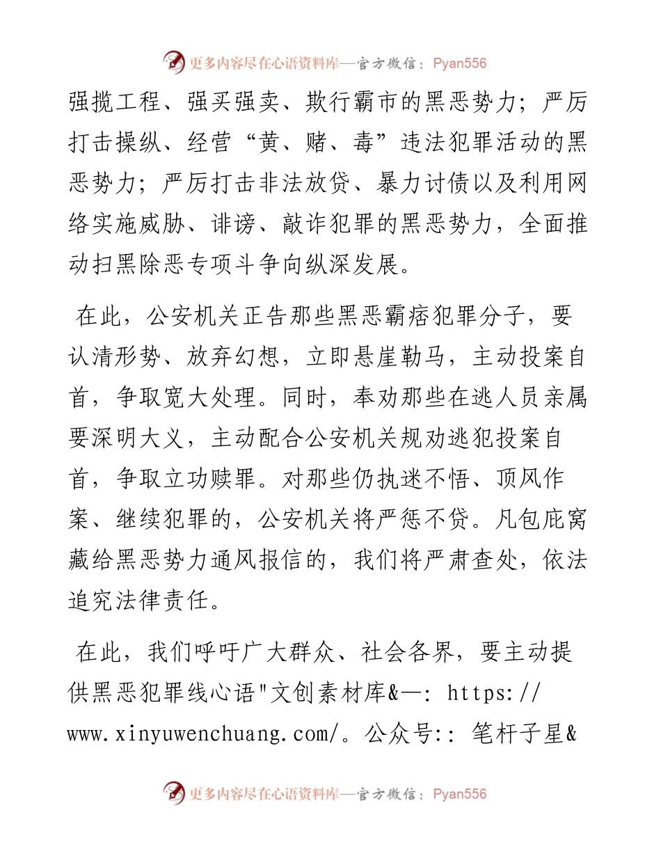 鄄城县副县长、公安局长樊秀萍关于扫黑除恶专项斗争电视讲话.docx_第2页