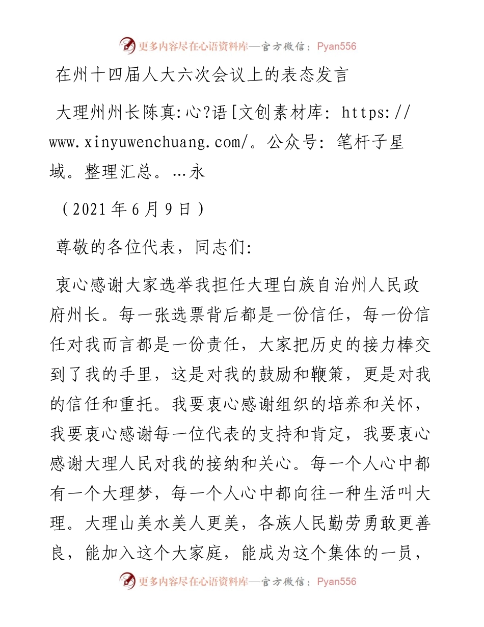 范文系列1638大理州州长陈真永：在州十四届人大六次会议上的表态发言.docx_第1页