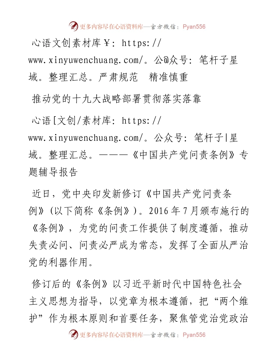问责条例专题报告党课(1).docx_第1页