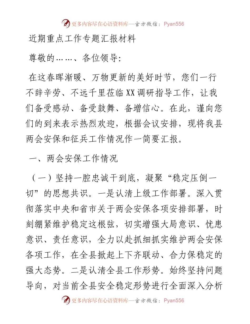 近期重点工作专题汇报材料.docx_第1页
