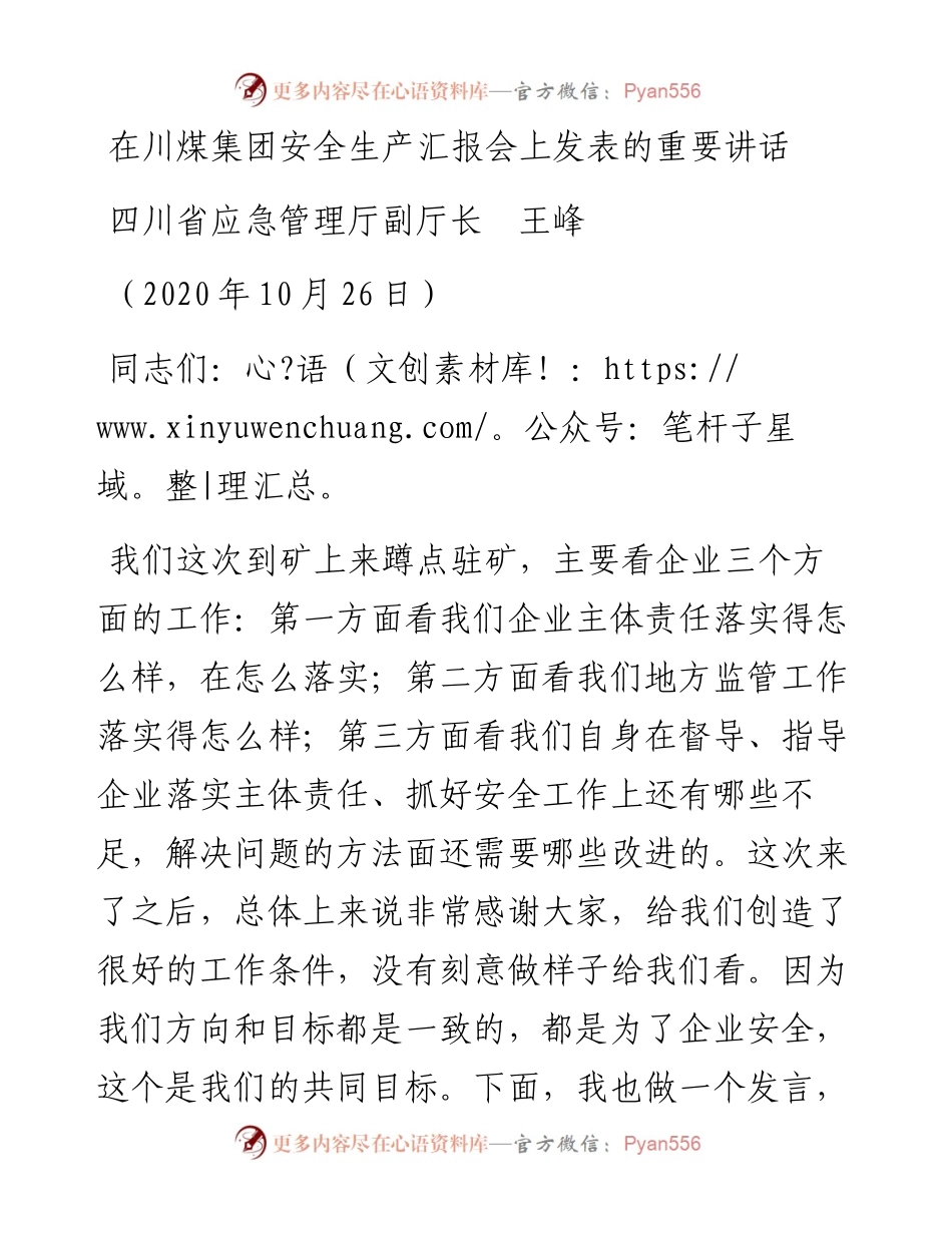 范文系列836四川省应急管理厅副厅长王峰：在川煤集团安全生产汇报会上发表的重要讲话.docx_第1页