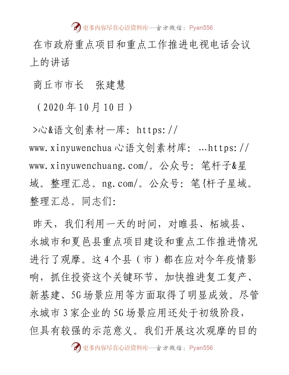 范文系列768商丘市市长张建慧：在市政府重点项目和重点工作推进电视电话会议上的讲话.docx_第1页
