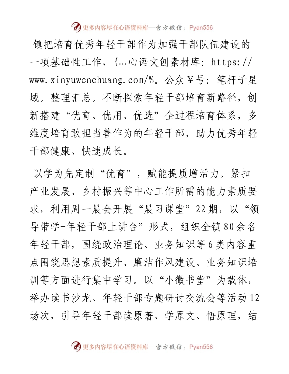 经验交流：“全过程式”培育体系 打造“硬核”年轻干部队伍.docx_第1页