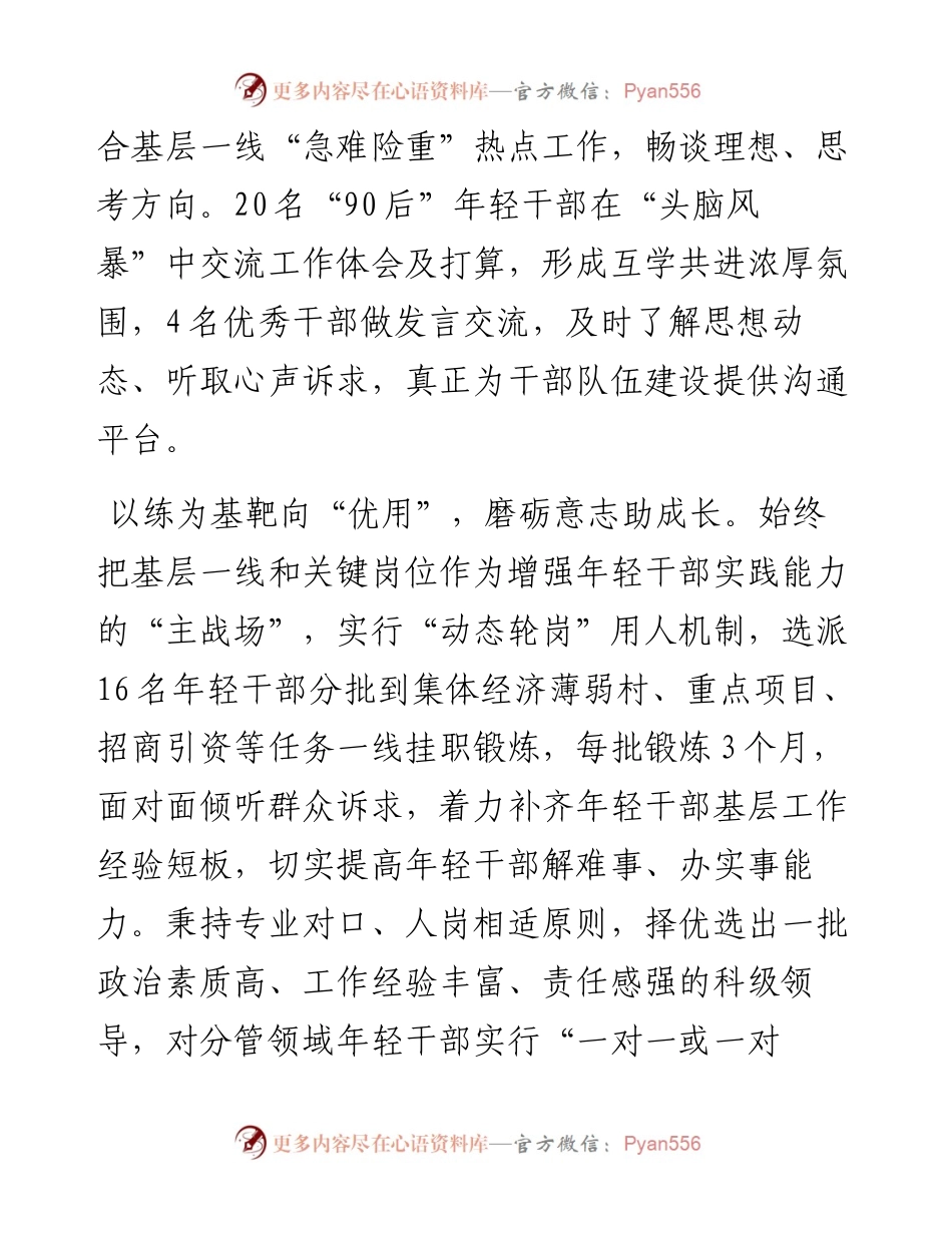 经验交流：“全过程式”培育体系 打造“硬核”年轻干部队伍.docx_第2页