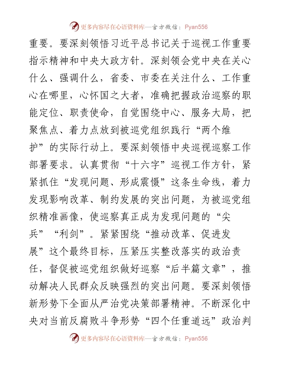 老笔杆子_laobiganzi_市委巡察工作高质量发展推进会经验交流材料（3篇）.docx_第2页