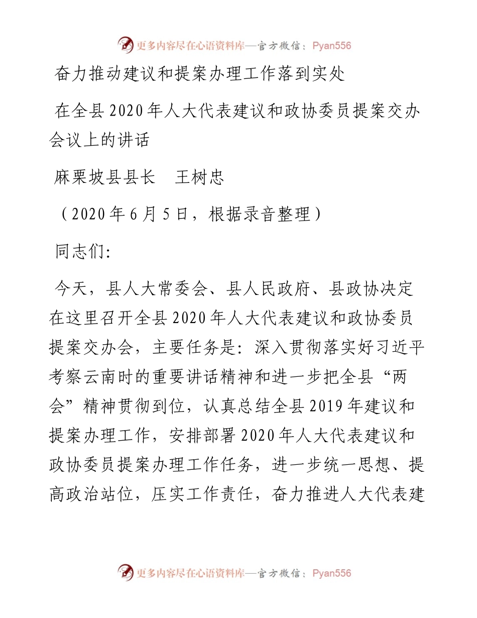 范文系列381麻栗坡县县长王树忠在全县人大代表建议和政协委员提案交办会议上的讲话.docx_第1页