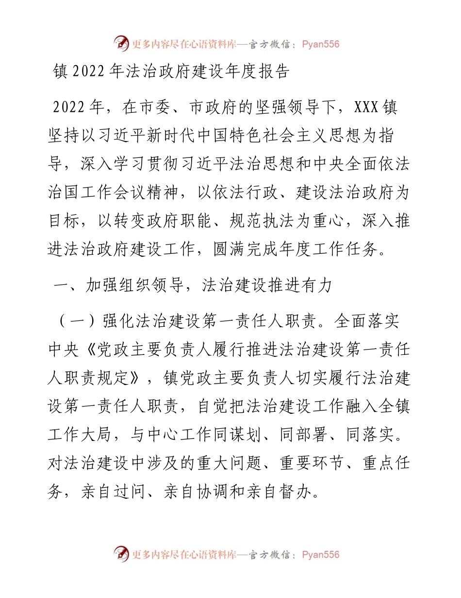 镇法治政府建设年度报告.docx_第1页
