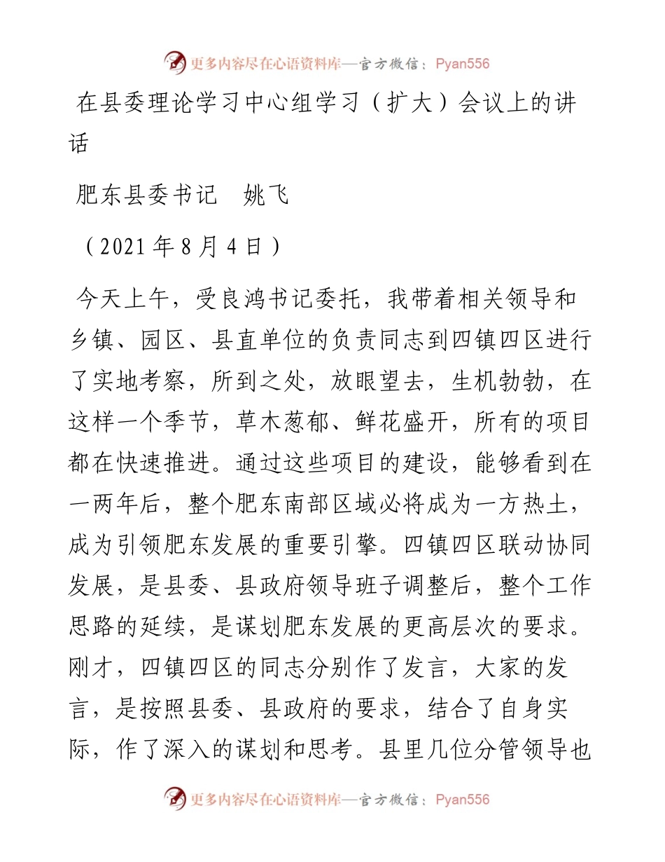 范文系列1926肥东县委书记姚飞：在县委理论学习中心组学习（扩大）会议上的讲话.docx_第1页