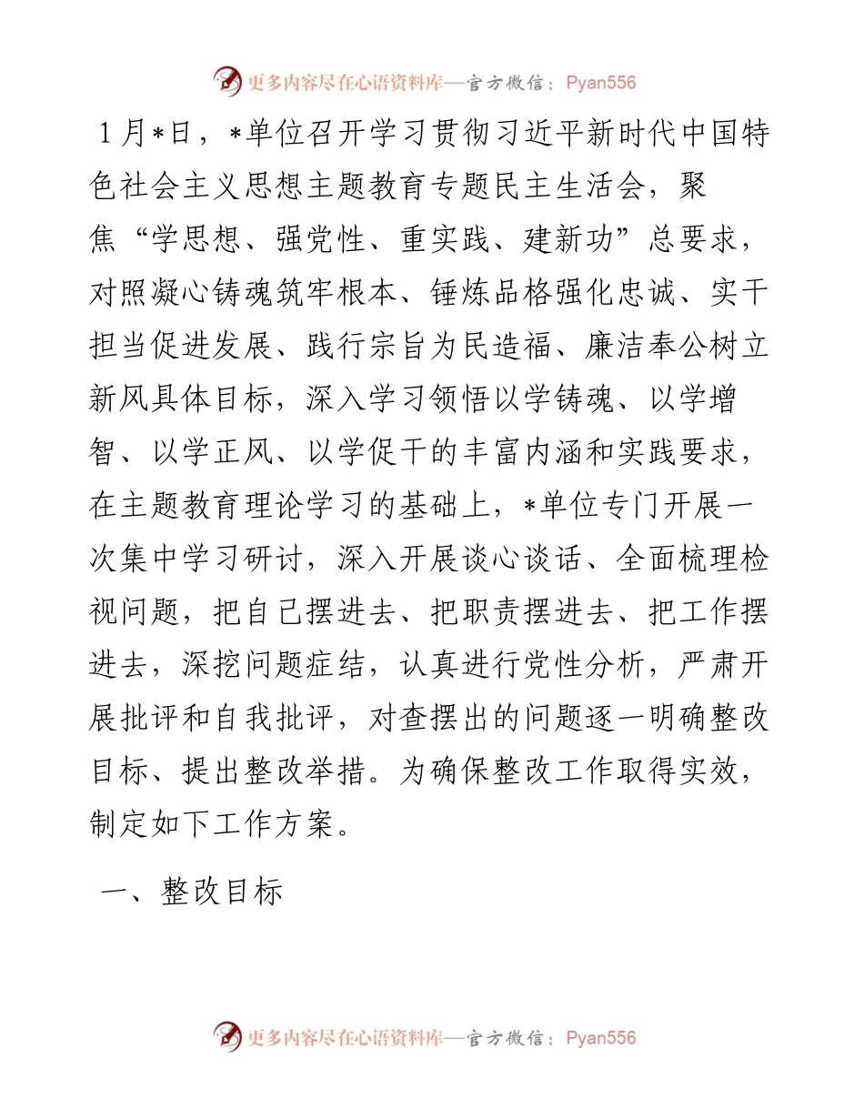 行政审批局主题教育专题民主生活会整改工作方案.docx_第1页