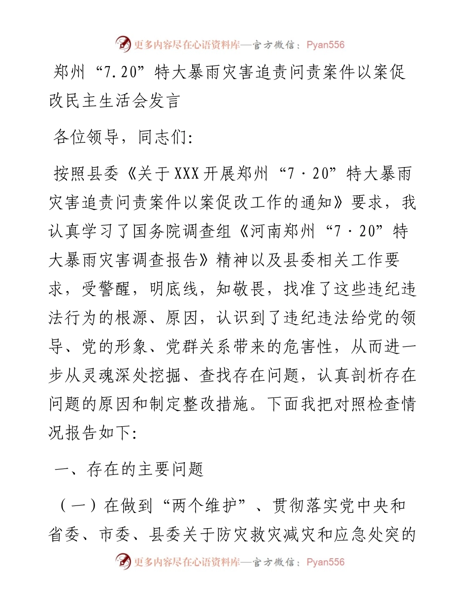 郑州“7.20”特大暴雨灾害追责问责案件以案促改民主生活会发言.docx_第1页