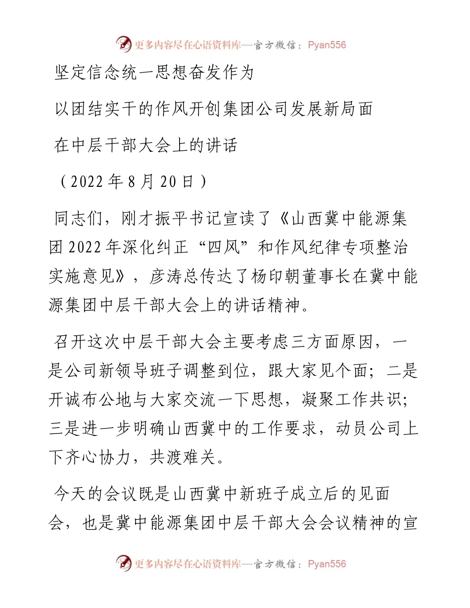 范文系列4462在中层干部大会上的讲话.docx_第1页