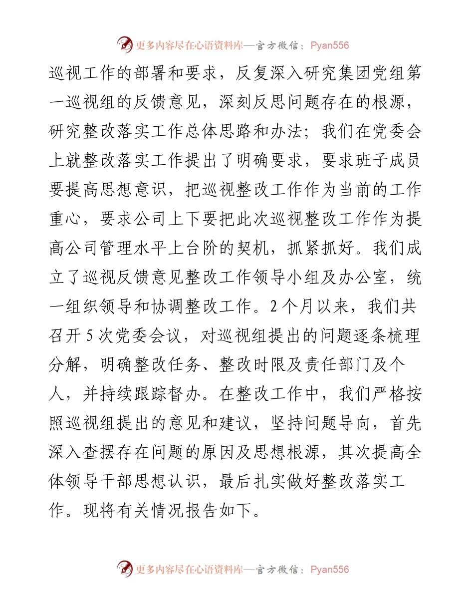 集团公司专项巡视整改对照材料.docx_第2页