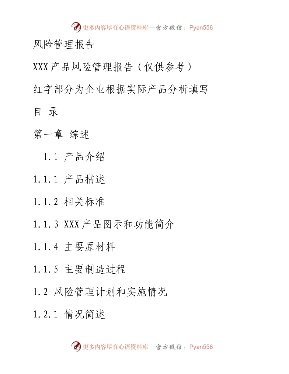 风险管理报告.docx_第1页