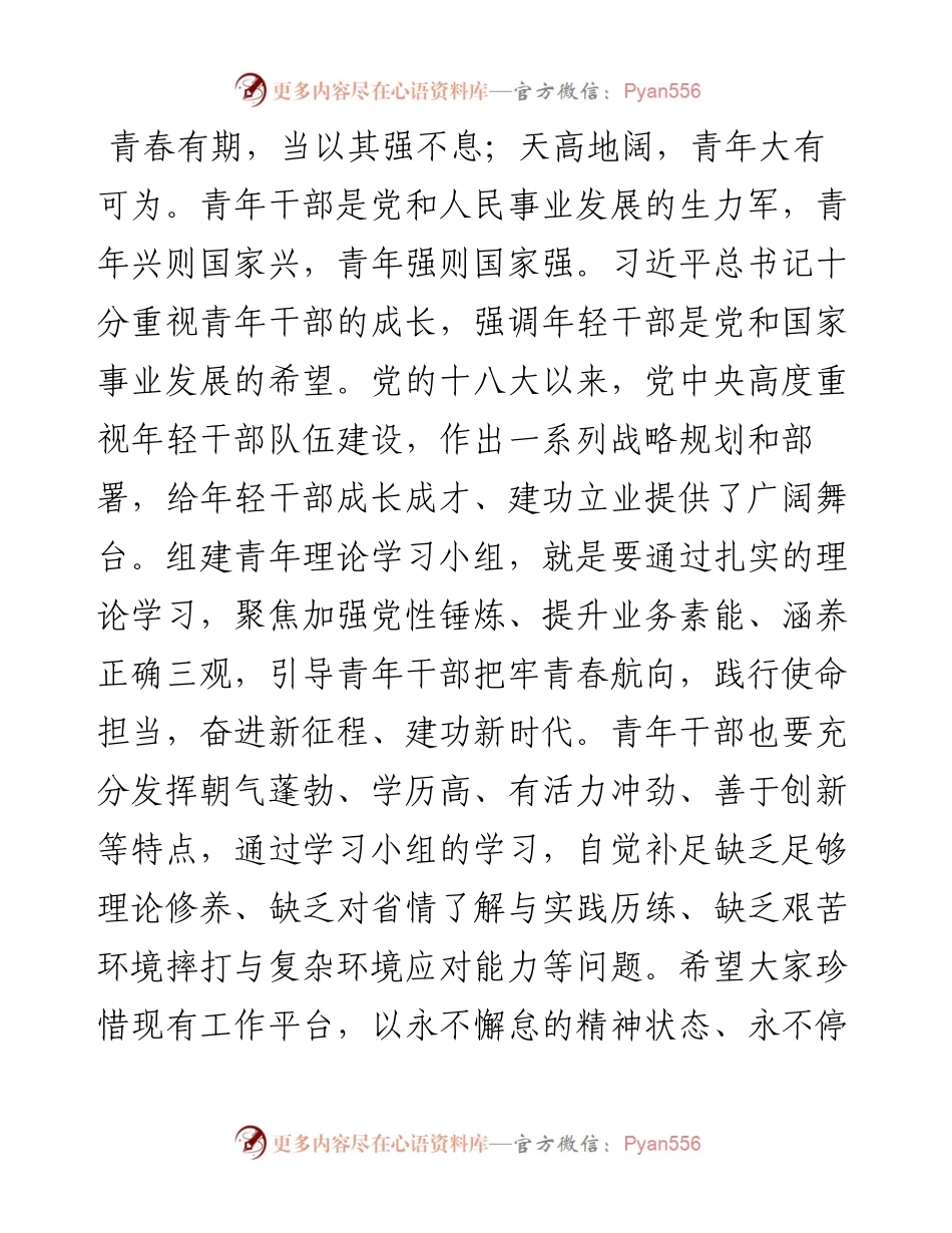 青年理论学习小组专题党课：学思想树立远大志向、重实践彰显时代使命担当，在中国式现代化建设中成就精彩人生.docx_第1页
