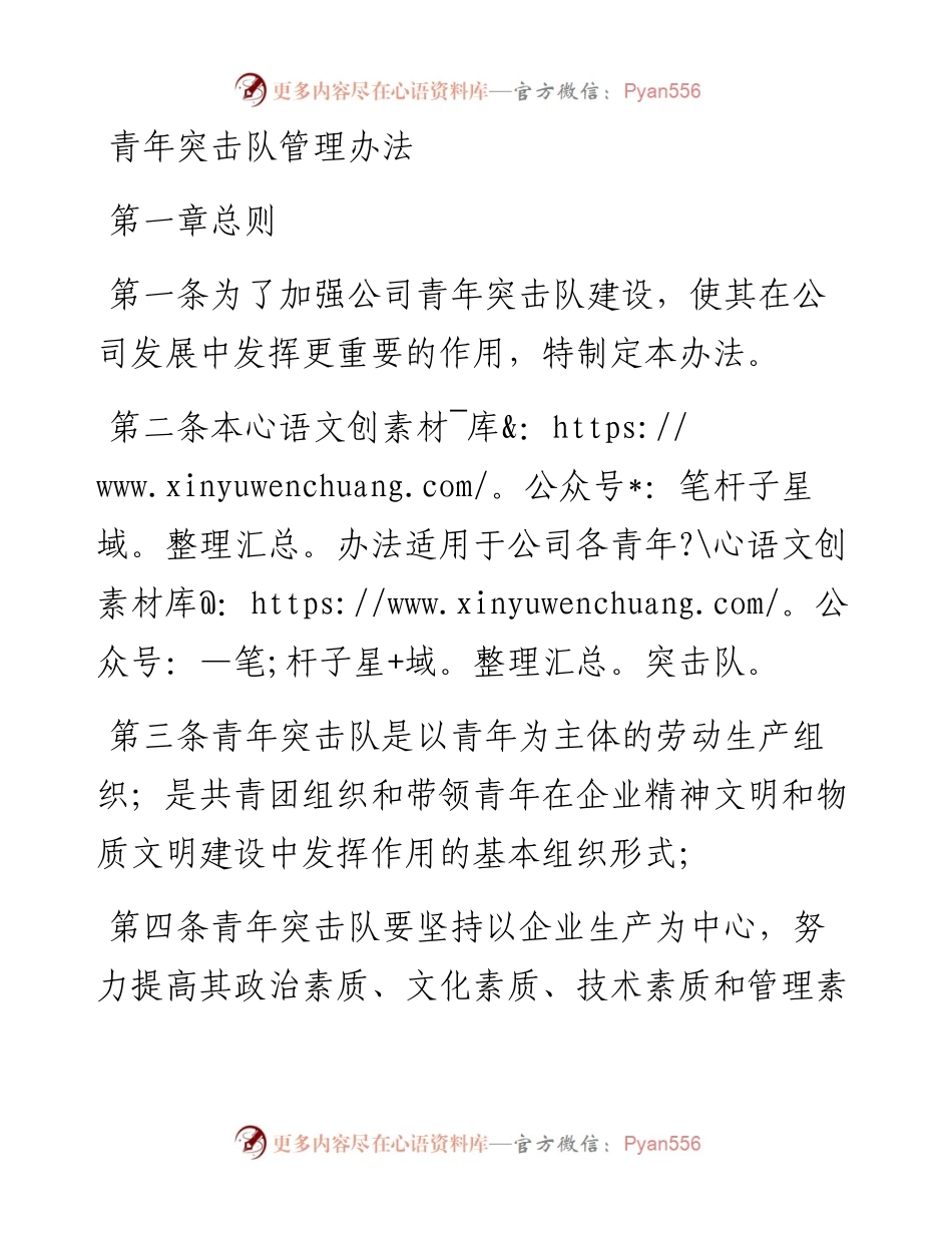 青年突击队管理办法.docx_第1页
