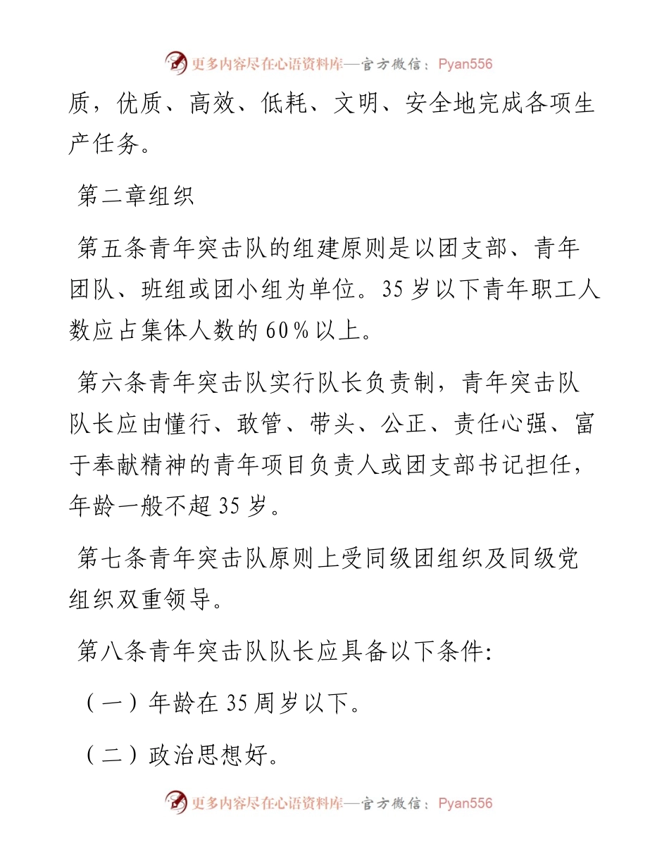 青年突击队管理办法.docx_第2页