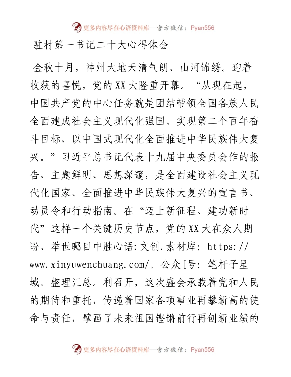 驻村第一书记二十大心得体会.docx_第1页