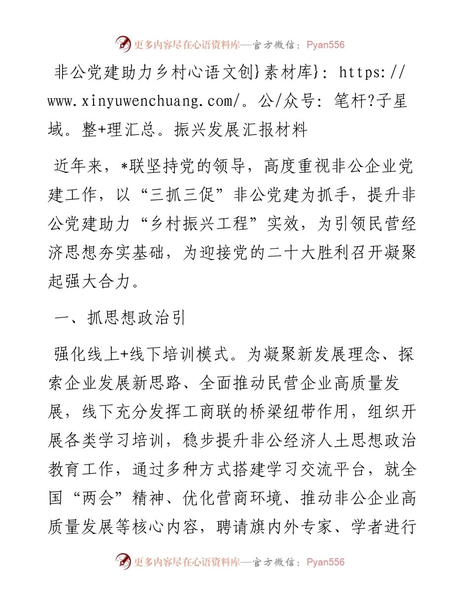 非公党建助力乡村振兴发展汇报材料.docx_第1页