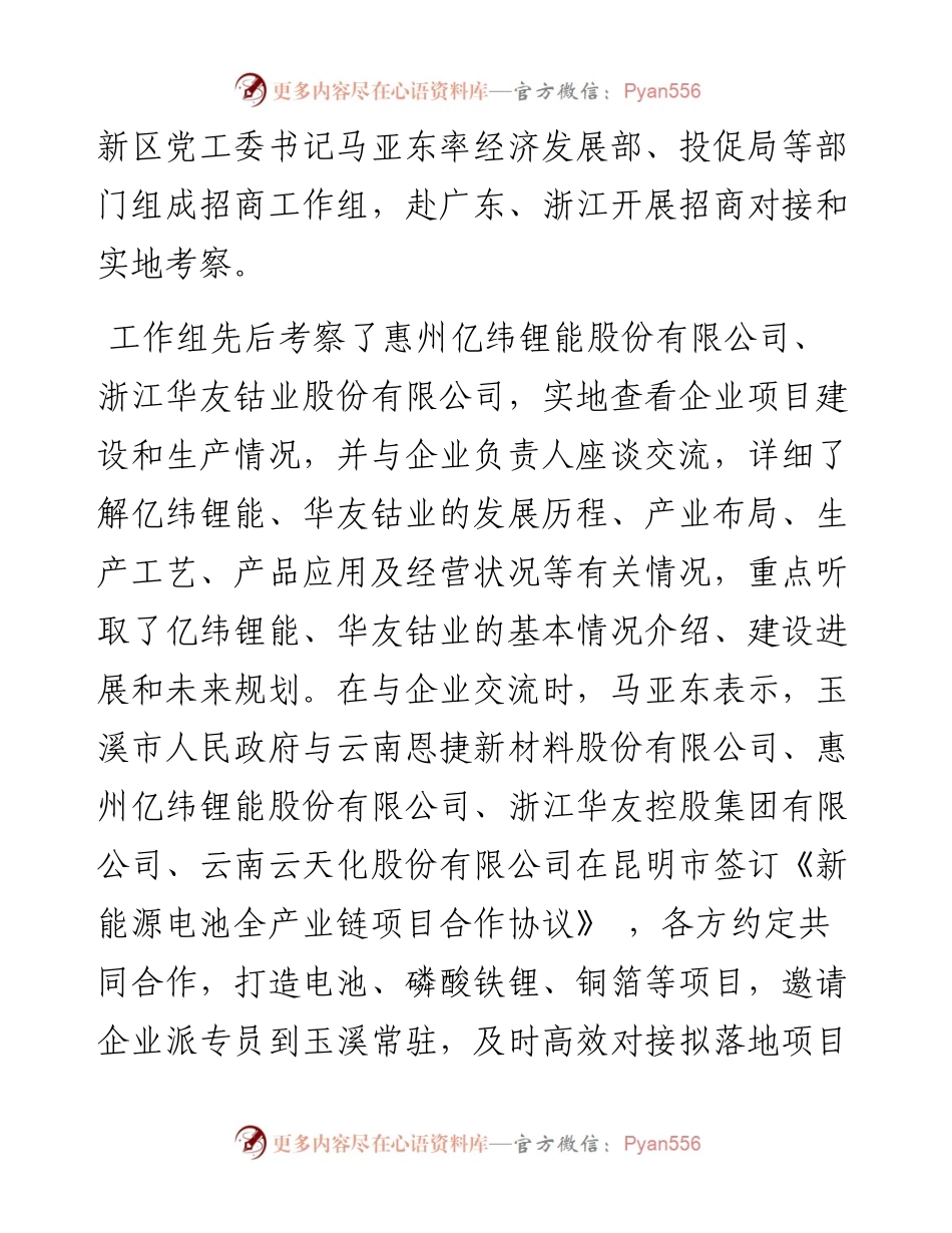 项目为王  精准招商.docx_第2页