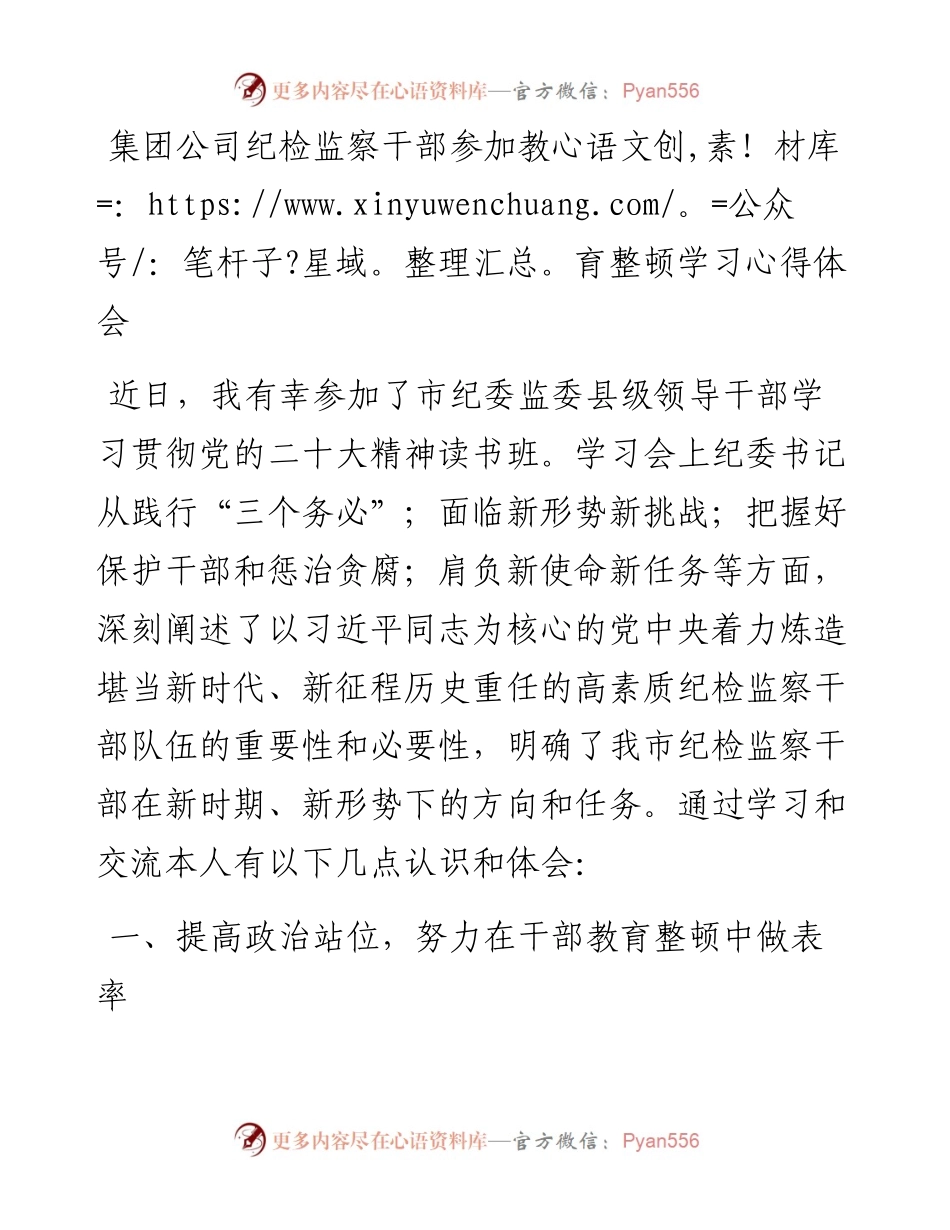 集团公司纪检监察干部参加教育整顿学习心得体会.docx_第1页