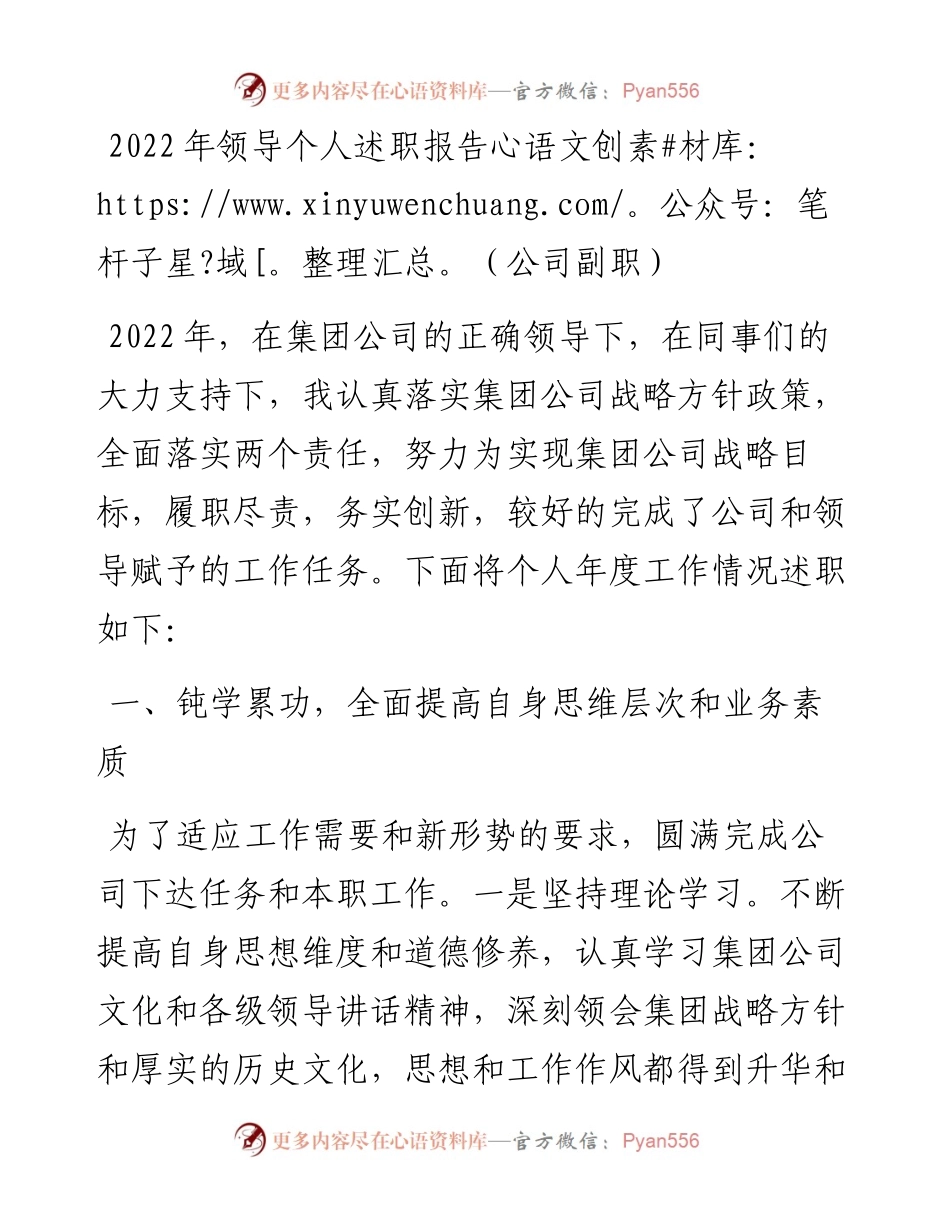 领导个人述职报告（公司副职）.docx_第1页
