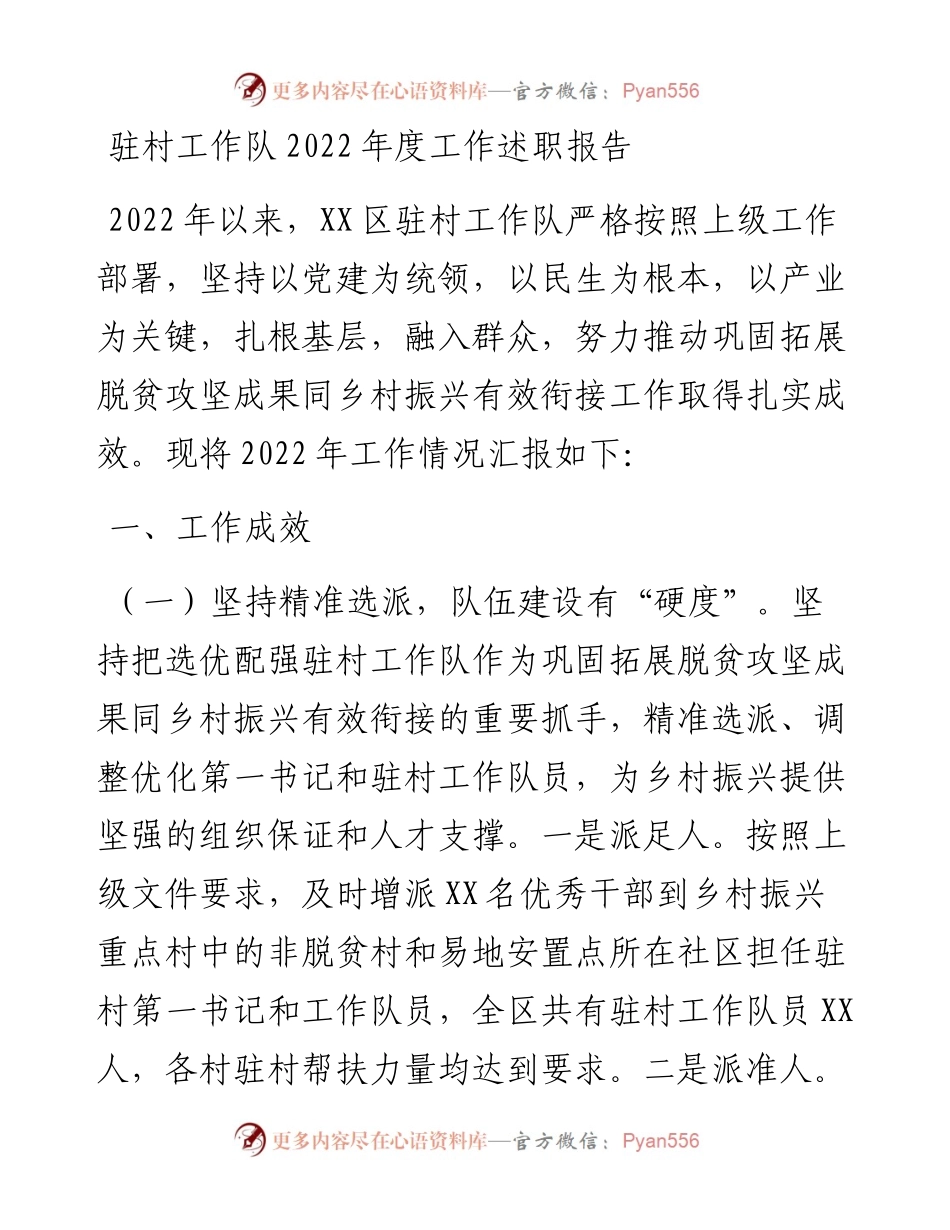 驻村工作队度工作述职报告.docx_第1页