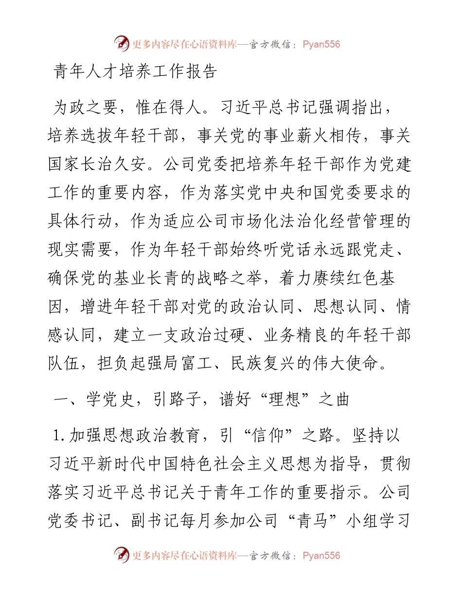 青年人才培养工作报告.docx_第1页