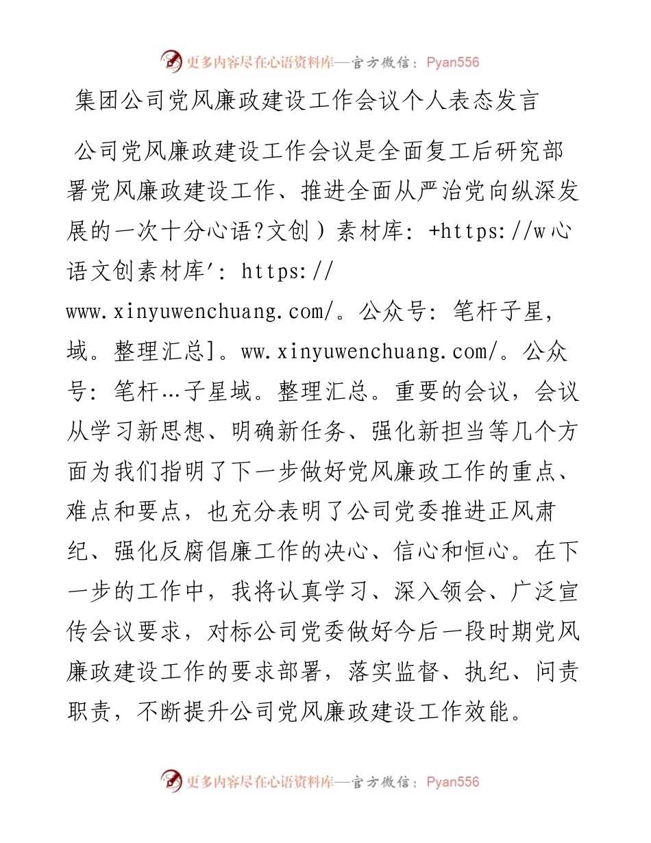 集团公司党风廉政建设工作会议个人表态发言.docx_第1页