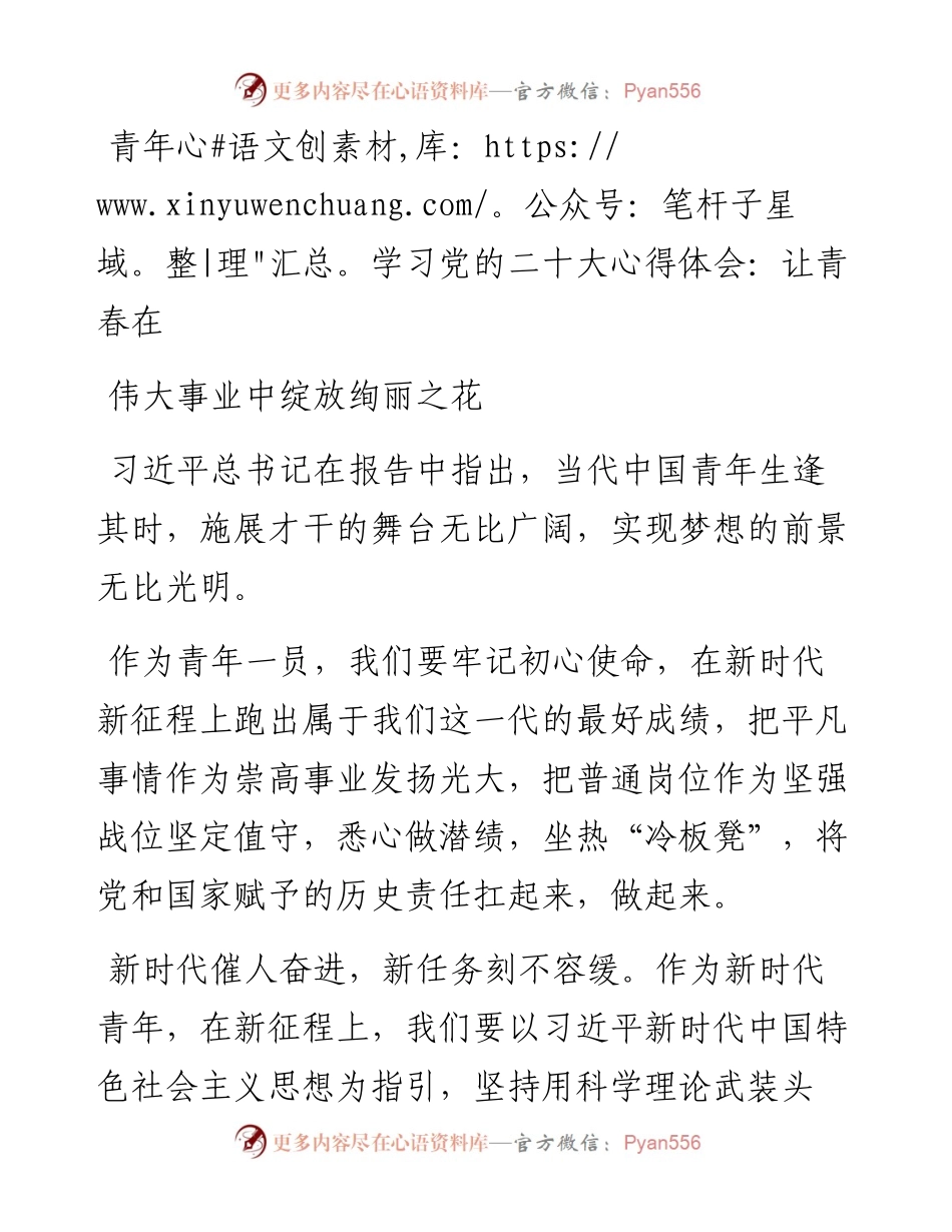 青年学习党的二十大心得体会：让青春在伟大事业中绽放绚丽之花(1).docx_第1页