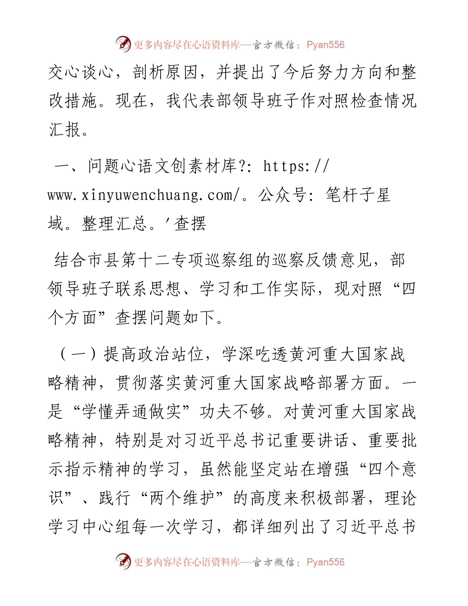 领导班子在生态保护和高质量发展专项巡察整改工作专题民主生活会上的对照检查材料.docx_第2页