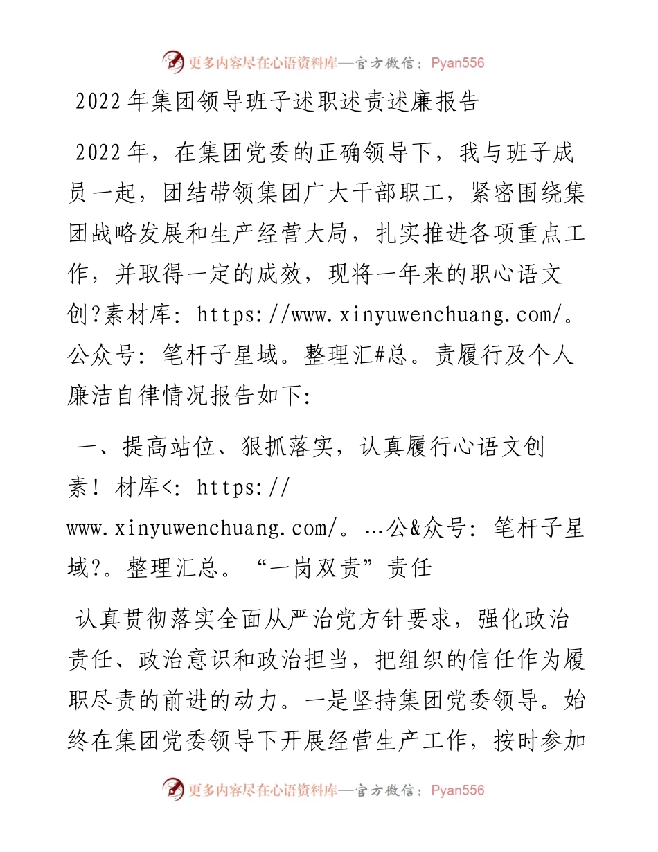 集团领导班子述职述责述廉报告.docx_第1页