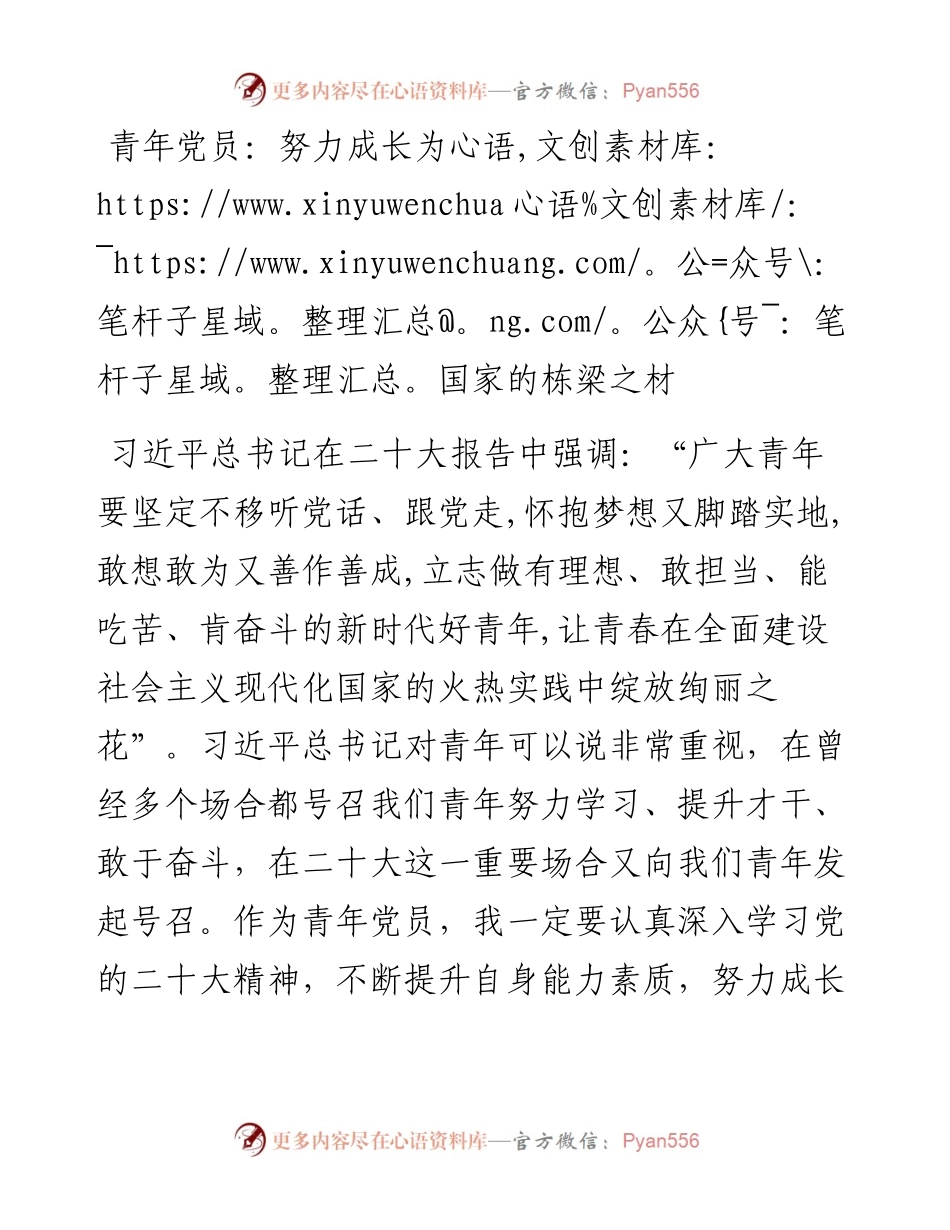 青年党员：努力成长为国家的栋梁之材.docx_第1页