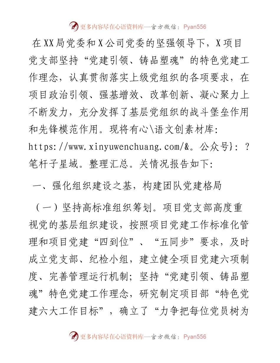 项目党支部党建工作总结报告.docx_第1页