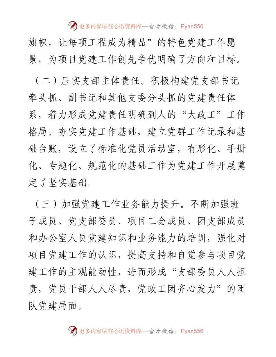 项目党支部党建工作总结报告.docx_第2页