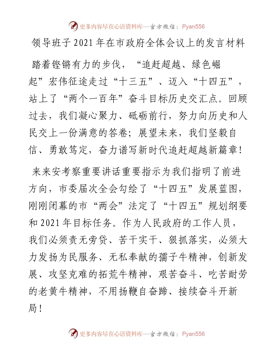 领导班子在市政府全体会议上的发言材料(1).docx_第1页