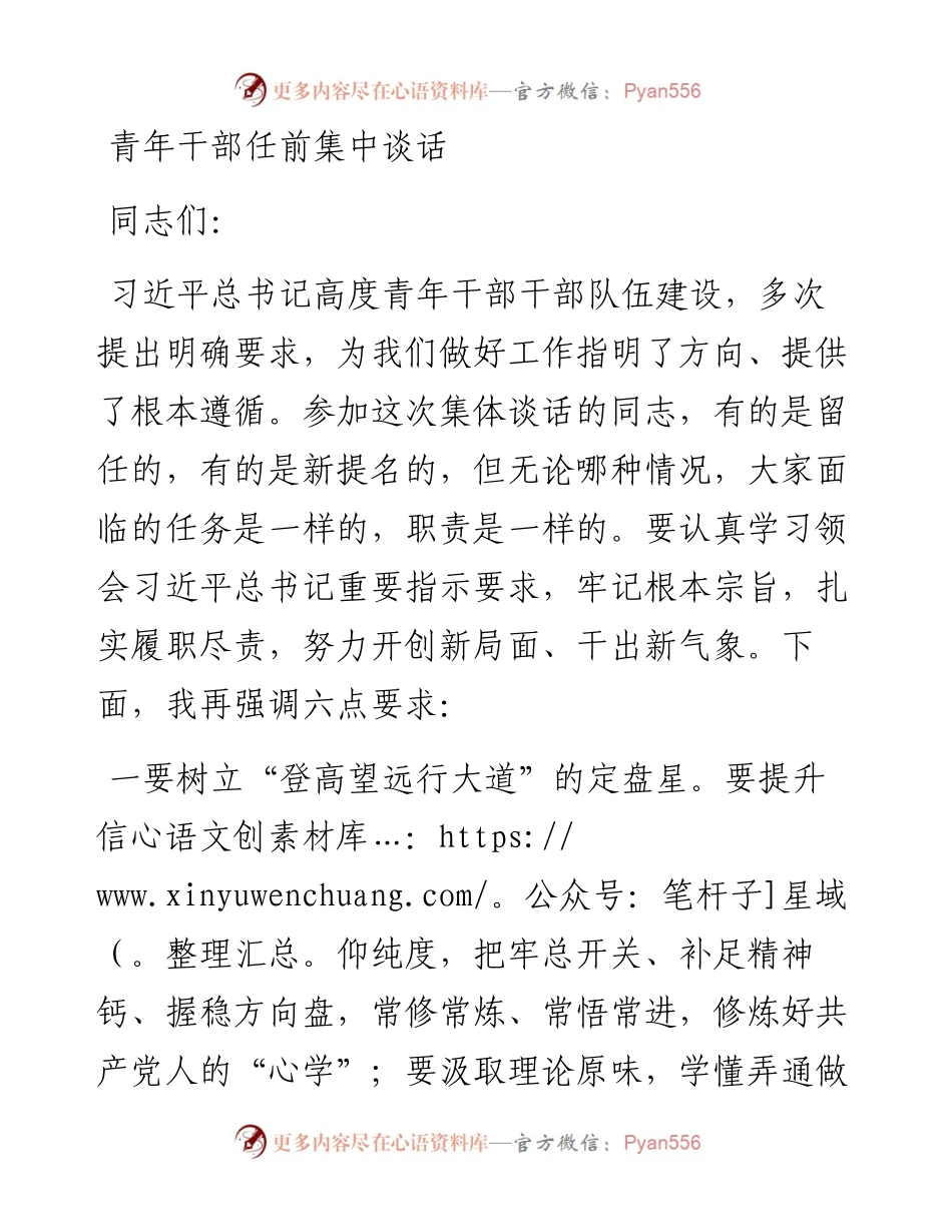 青年干部任前集中谈话.docx_第1页