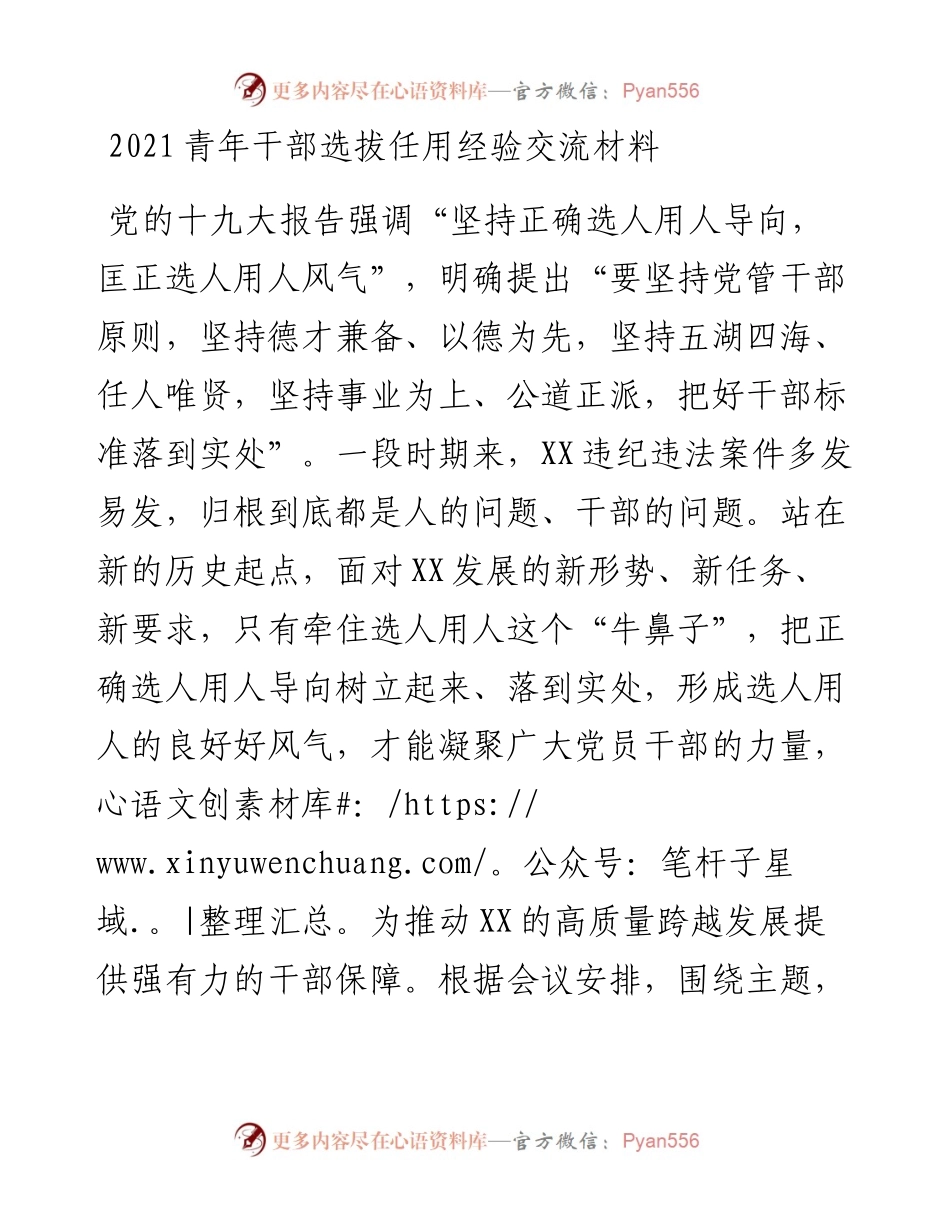青年干部选拔任用经验交流材料.docx_第1页