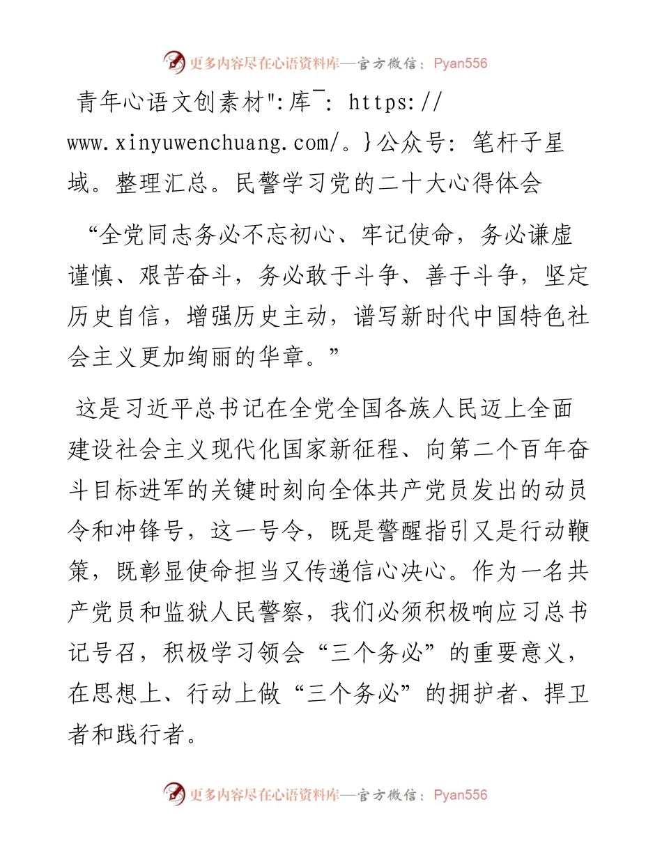 青年民警学习党的二十大心得体会.docx_第1页