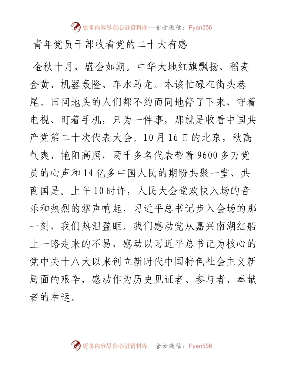 青年党员干部收看党的二十大有感(1).docx_第1页