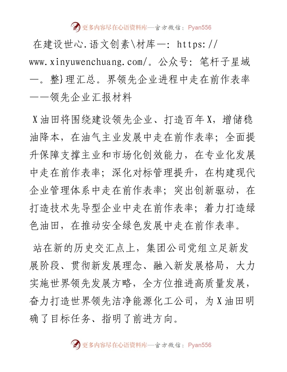 领先企业汇报材料.docx_第1页