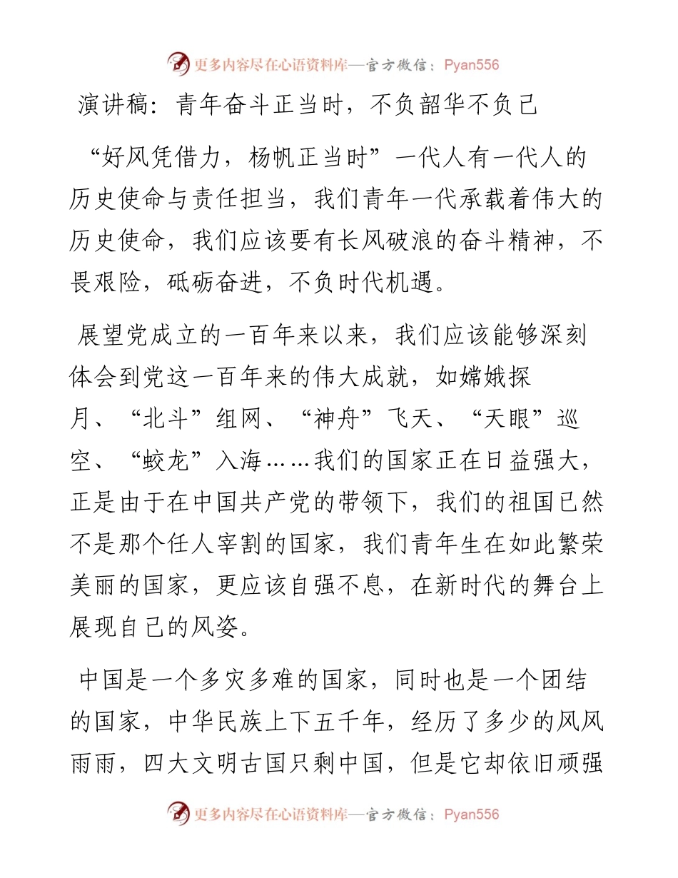 青年奋斗正当时，不负韶华不负己.docx_第1页