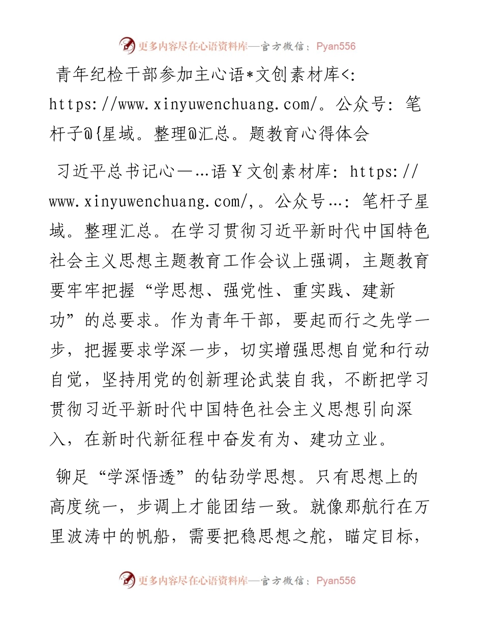 青年纪检干部参加主题教育心得体会.docx_第1页